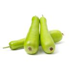 BOTTLE GOURD / LOKI / SURAKKAI