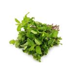 Mint /Pudina