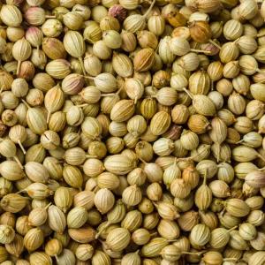 CORIANDER SEED / DHANIYA 250G