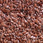 FLAX SEEDS 100G
