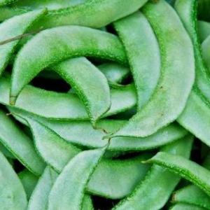 FLAT BEANS / SEM /AVARAKKAI