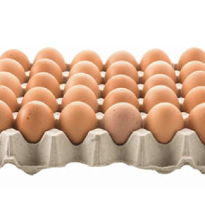 Fazenda Filomena Egg- 1 Tray of 30 units (G)