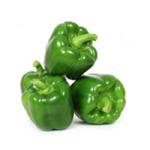 GREEN PEPPER / CAPSICUM / SHIMLA MIRCHI