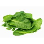 SPINACH / PALAK (INDIA)